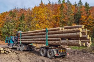 Nakladanie a preprava 2