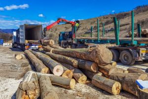 Nakladanie a preprava 3